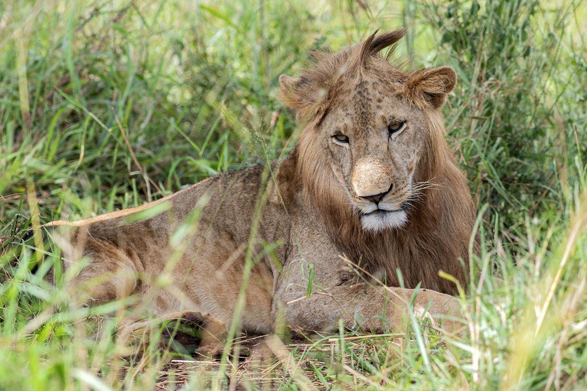 Kidepo Valley National Park - Uganda's Top Destination - Ganyana ...